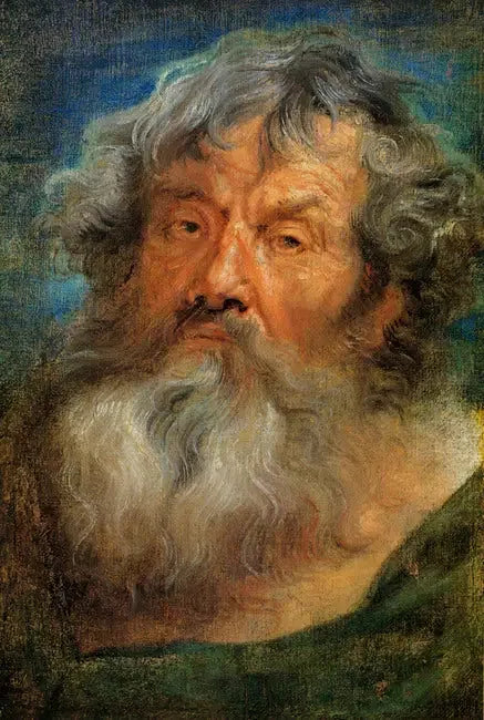 Kopf eines alten Mannes - Antoine van Dyck