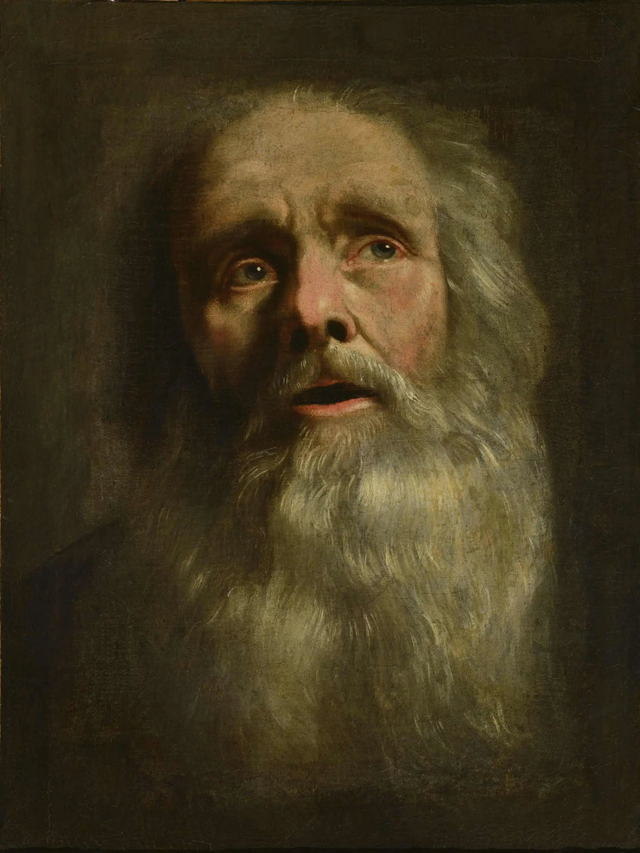 Kopf eines alten Mannes - Philippe de Champaigne