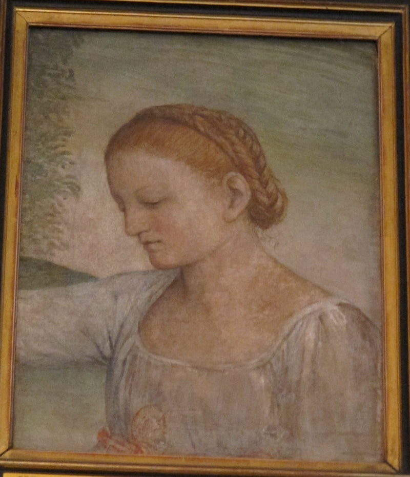 Kopf eines Mädchens - Bernardino Luini