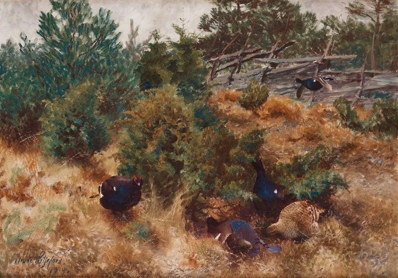 Birkhuhn in einer Herbstlandschaft - Bruno Liljefors