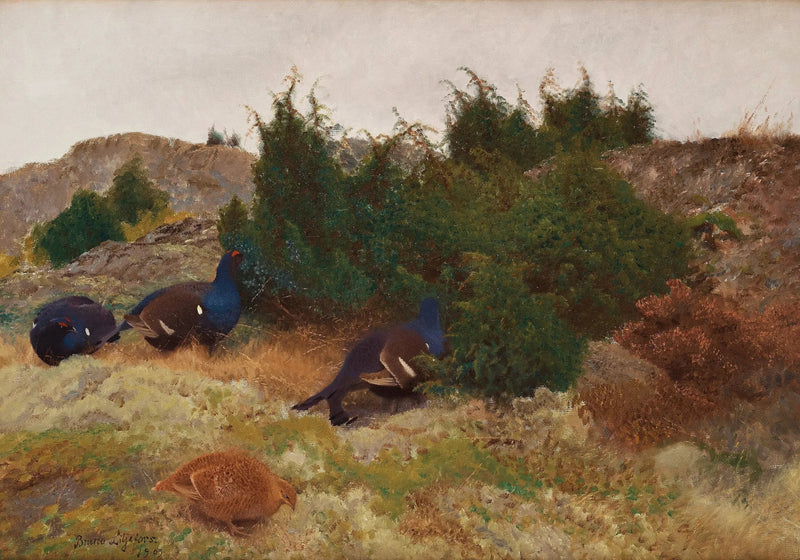 Birkhuhn im Herbst - Bruno Liljefors