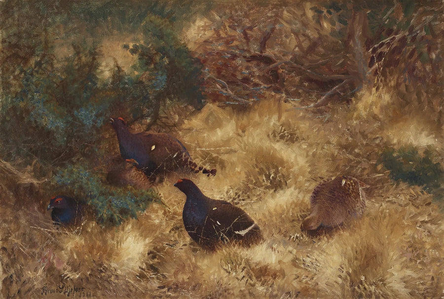 Birkhuhn im Herbst - Bruno Liljefors