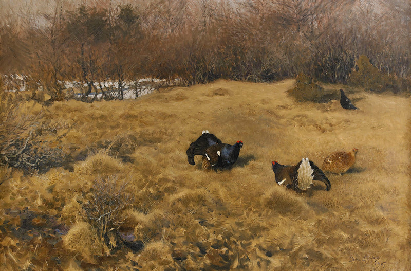 Birkhuhn auf Parade – Bruno Liljefors
