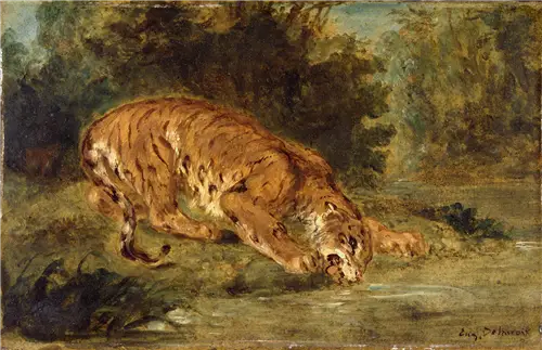 Trinkender Tiger - Eugène Delacroix