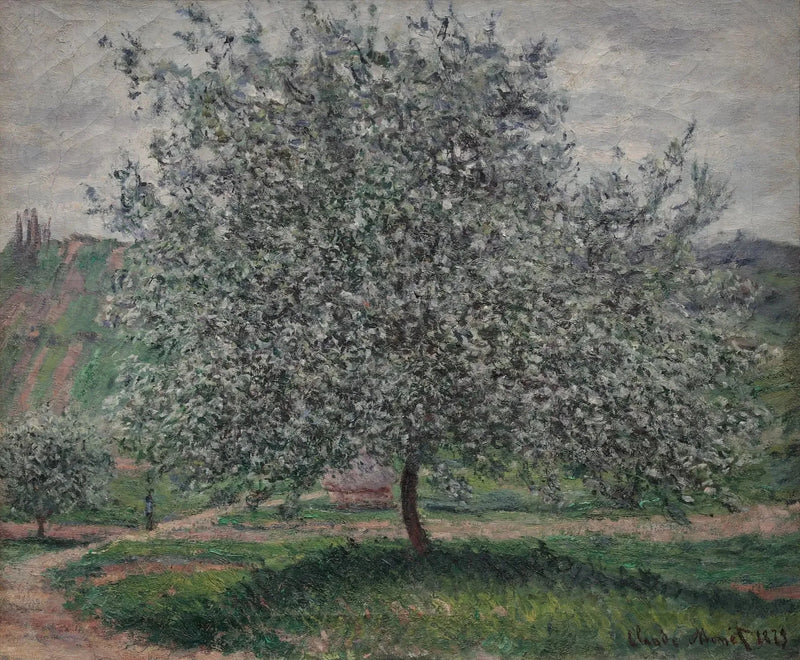 Übersetzter Titel nicht verfügbar - Claude Monet