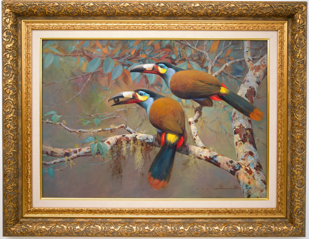 Mountain Toucan – Somchai | 60 x 90 cm Reproductions de tableaux à la peinture à l’huile
