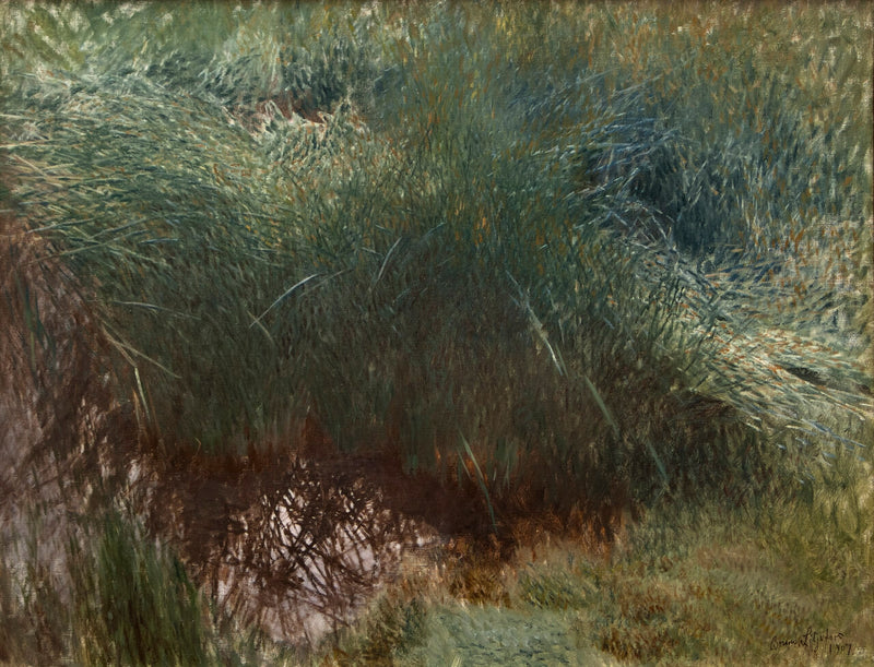Schilfbüschel - Bruno Liljefors