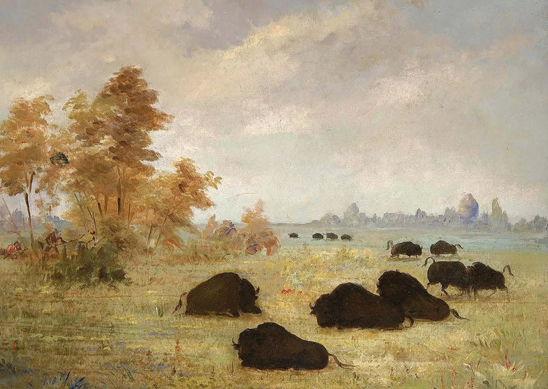 Bisonjagd, Arkansas - George Catlin