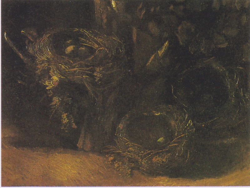 Stillleben mit drei Vogelnestern - Vincent van Gogh
