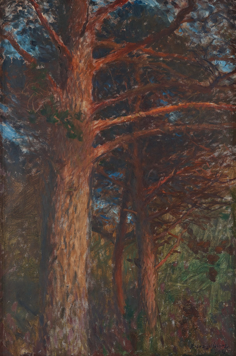 Kiefernstämme nach Sonnenuntergang - Bruno Liljefors