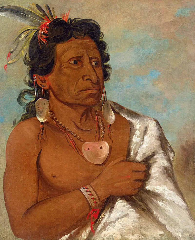 U'sh-ee-kitz, Der, der mit einer Feder kämpft, Stammesführer - George Catlin
