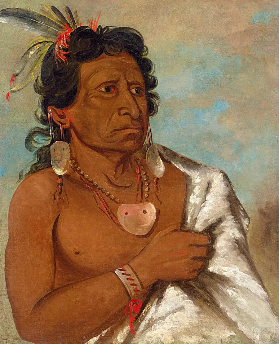 U'sh-ee-kitz, Der, der mit einer Feder kämpft, Stammesführer - George Catlin