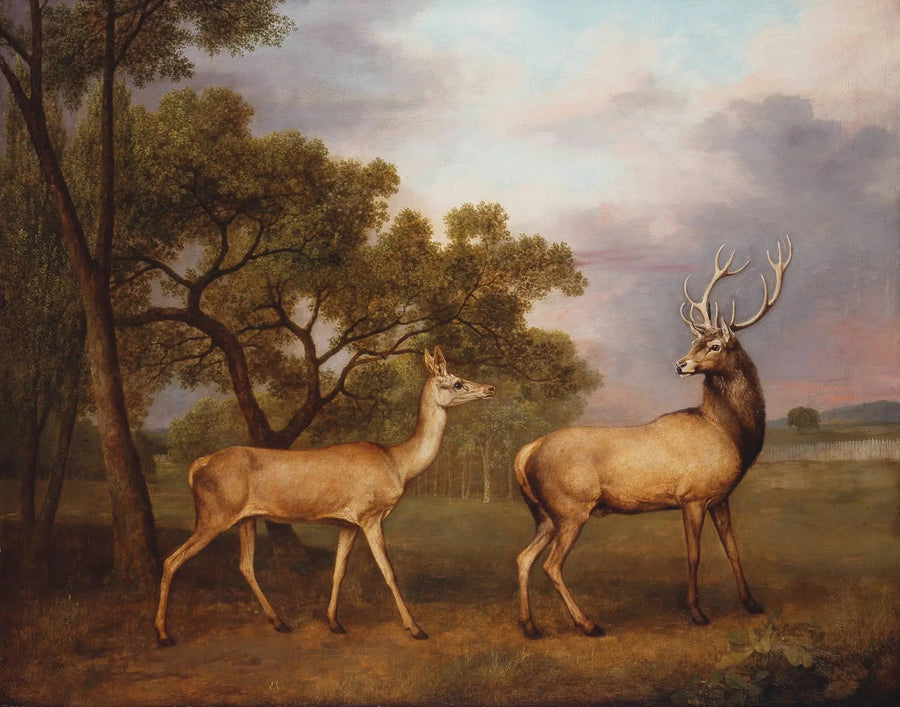 Ein männlicher Elchhirsch und eine Hirschkuh - George Stubbs