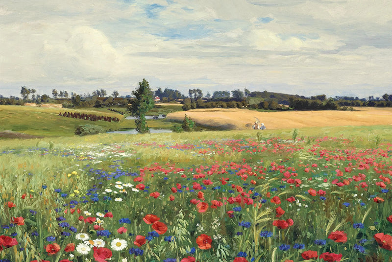 Ein Feld mit Gänseblümchen, Mohnblumen und Margeriten. - H. A. Brendekilde