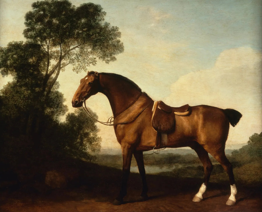 Ein Jäger der geschlossenen Bucht - George Stubbs