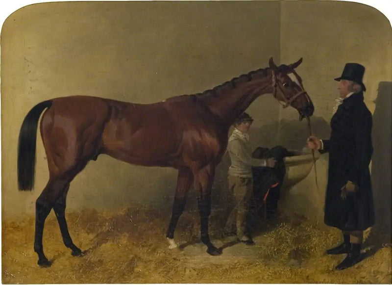 Ein Rennpferd in einer Box - John Frederick Herring, Sr.