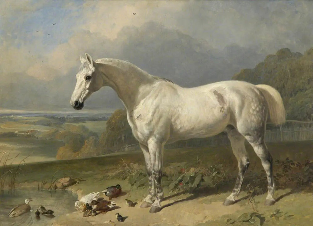 Un cheval gris et des canards dans un paysage - John Frederick Herring, Sr. image 1 tableau peint à l’huile sur toile
