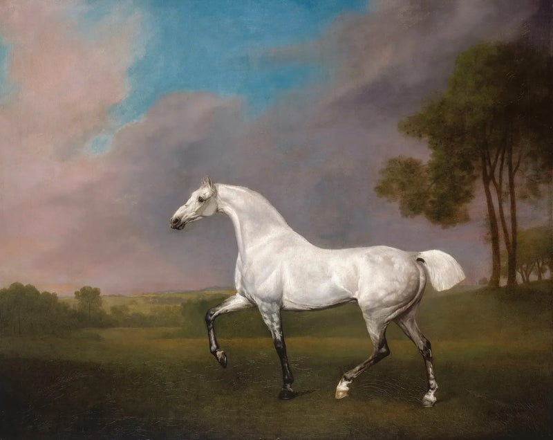 Ein graues Pferd - George Stubbs