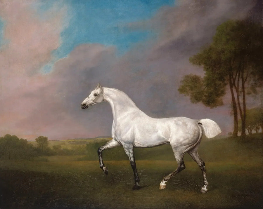 Ein graues Pferd - George Stubbs