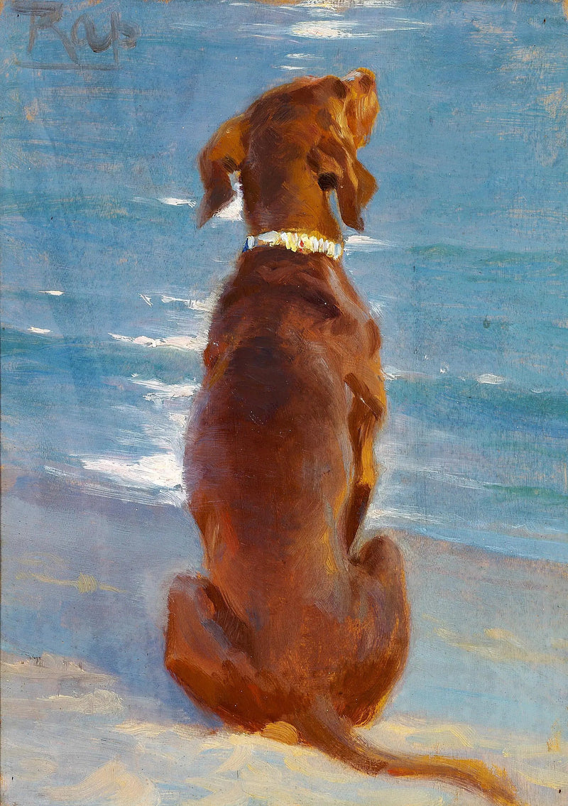 Ein brauner Hund sitzt. Rap. - Peder Severin Krøyer