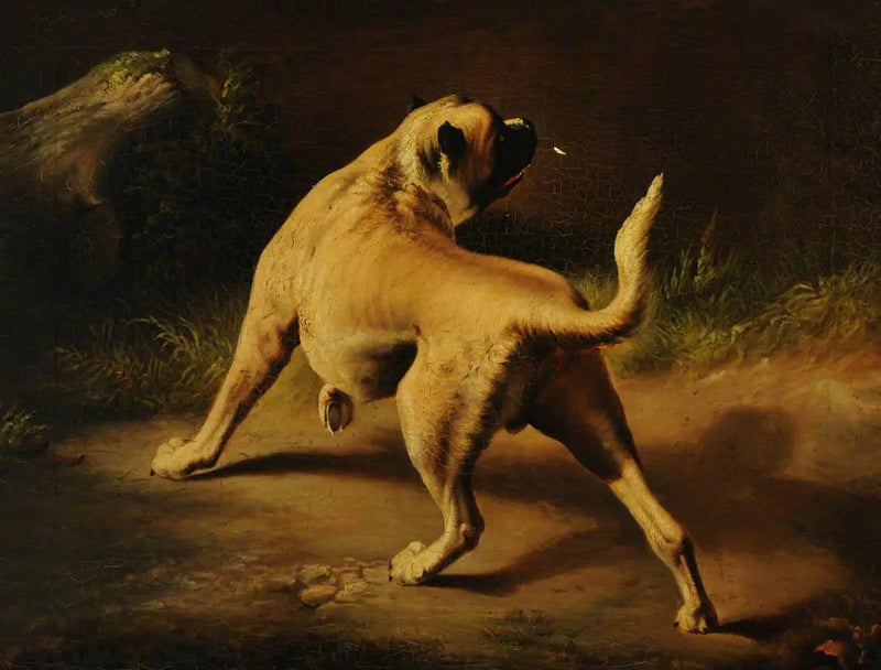 Ein aufmerksamer Hund - Edwin Henry Landseer