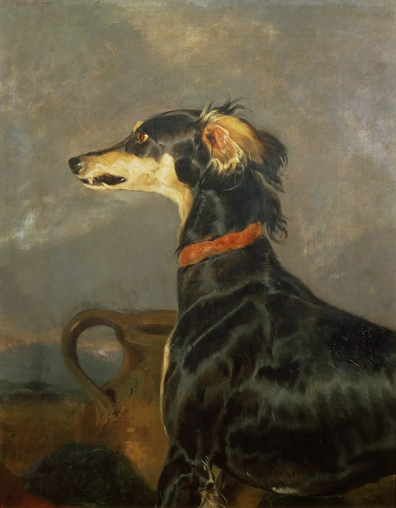 Ein Saluki-Hund - Edwin Henry Landseer