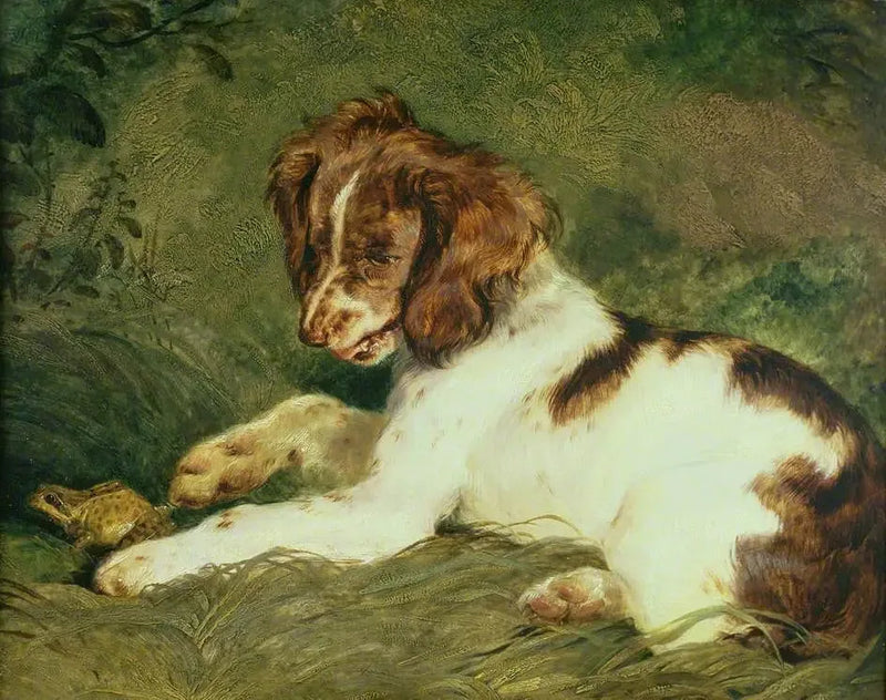 Ein Welpe neckt eine Kröte - Edwin Henry Landseer