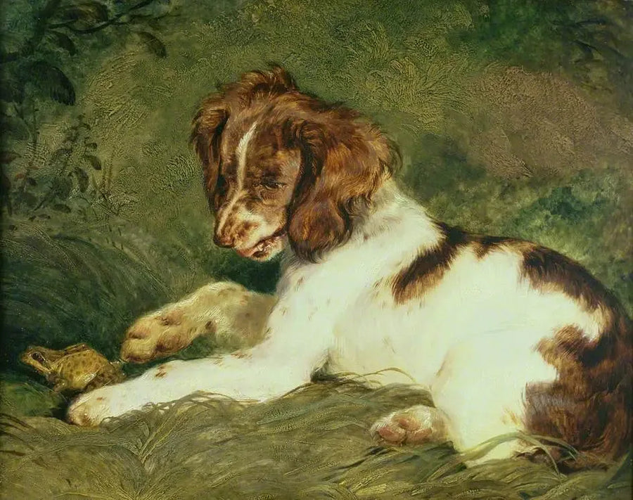 Ein Welpe neckt eine Kröte - Edwin Henry Landseer