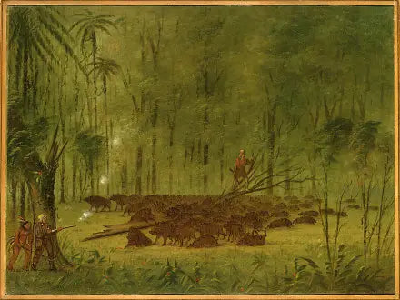 Ein Kampf mit Pécaris - Karibik - George Catlin