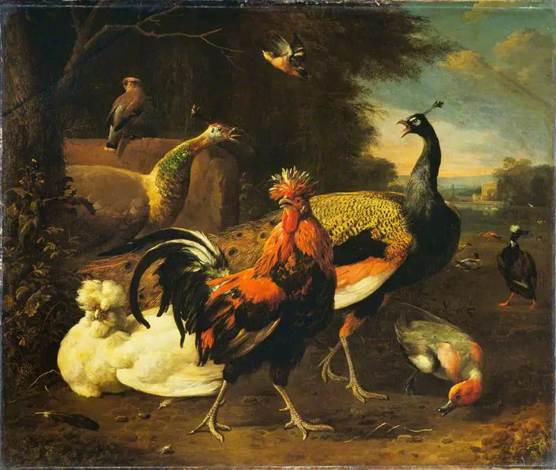 Ein Hahn mit anderen Vögeln - Melchior de Hondecoeter