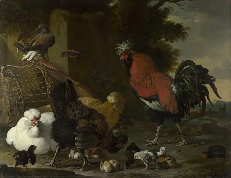Ein Hahn, Hühner und Küken - Melchior de Hondecoeter