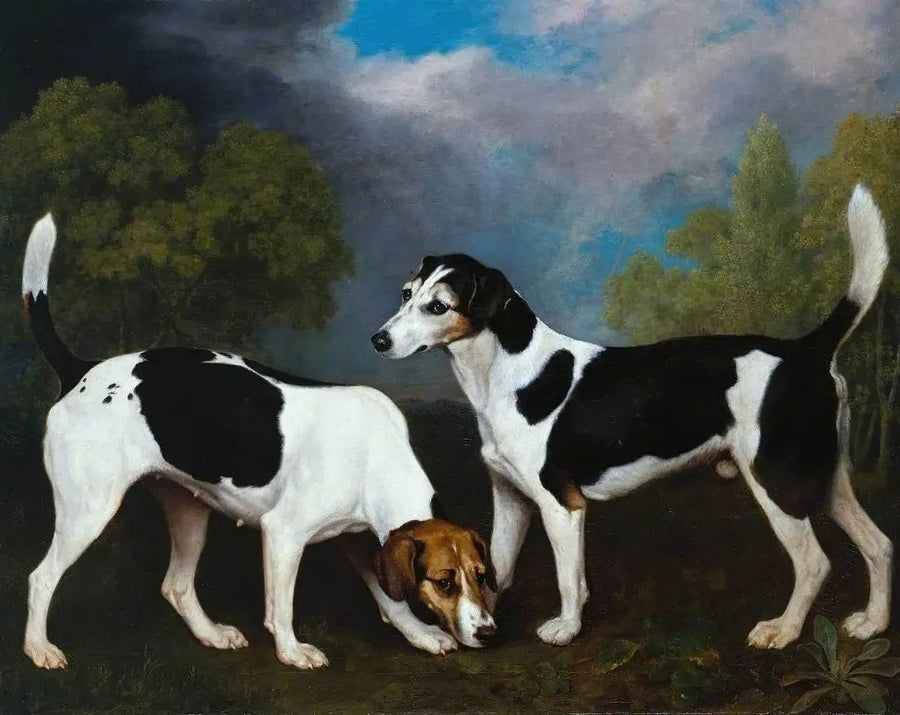 Ein Paar Foxhounds - George Stubbs