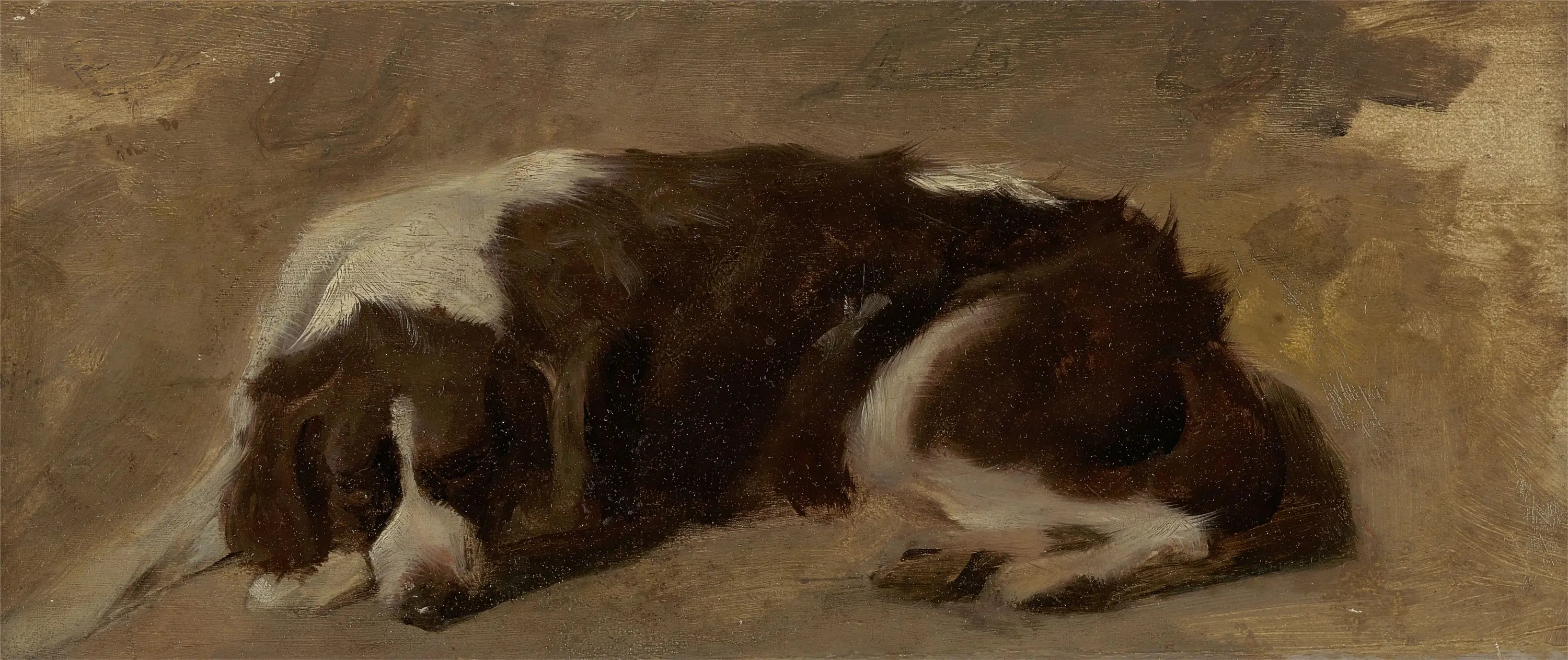 Un épagneul couché - Edwin Henry Landseer - Alpha Reproduction