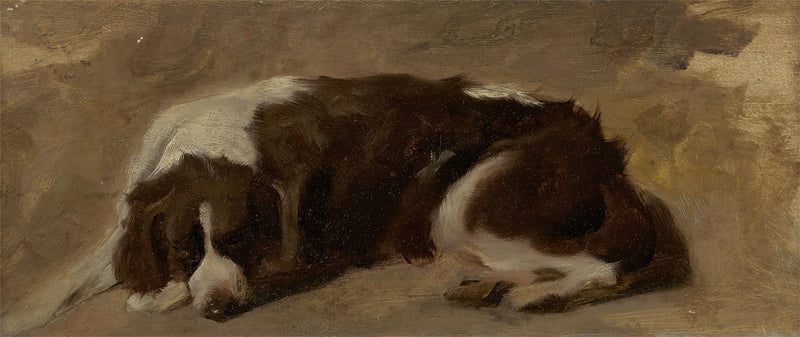 Ein liegender Spaniel - Edwin Henry Landseer