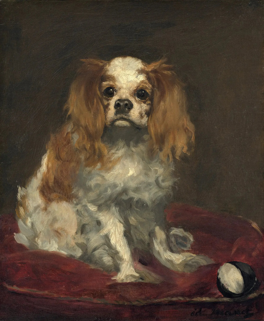 Ein King Charles Spaniel - Édouard Manet