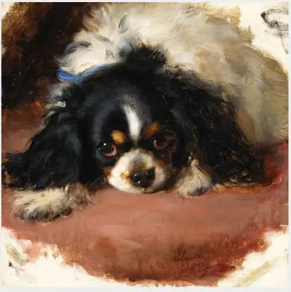 Ein King-Charles-Spaniel - Edwin Henry Landseer