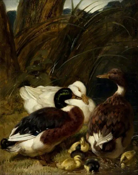 Eine Gruppe Enten - John Frederick Herring, Sr.