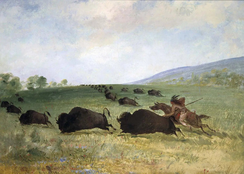 Ein Indianer Osage wirft einen Büffel - George Catlin