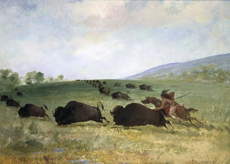 Ein Indianer Osage wirft einen Büffel - George Catlin