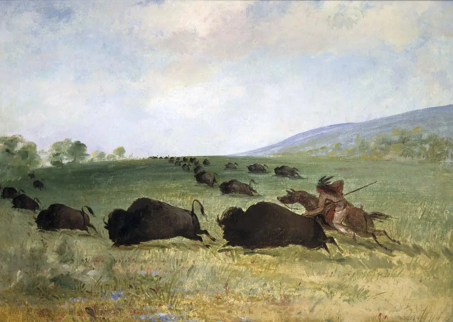 Ein Indianer Osage wirft einen Büffel - George Catlin