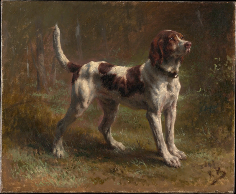 Ein Briquet-Hund - Rosa Bonheur