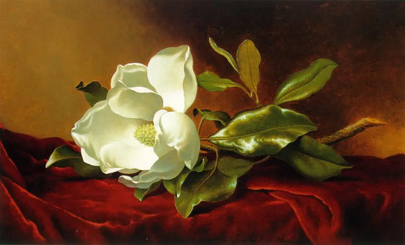 Ein Magnolie auf rotem Samt - Martin Johnson Heade