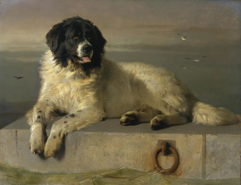 Ein angesehenes Mitglied der Humane Society - Edwin Henry Landseer
