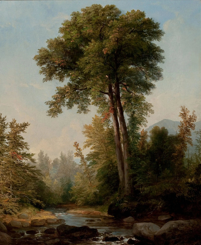 Ein natürlicher Monarch - Asher Brown Durand