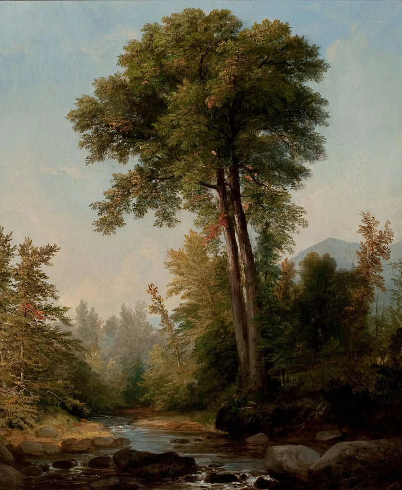 Ein natürlicher Monarch - Asher Brown Durand