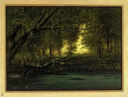 Ein Alligator-Nest - George Catlin