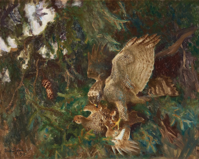 Ein Raubvogel greift seine Beute an – Bruno Liljefors