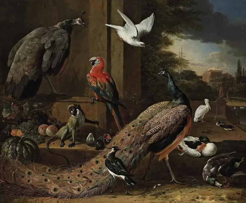 Ein Pfau, eine Pfauenfrau, ein Affe und andere Vögel auf einer Terrasse - Melchior de Hondecoeter