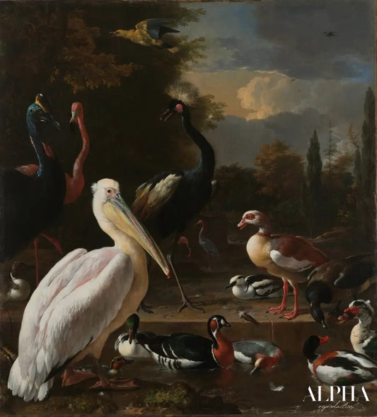 Un pélican et d'autres oiseaux dans une mare, 1680 - Melchior d'Hondecoeter - Reproductions de tableaux et peintures haut de gamme