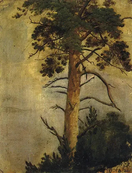 Ein Felsen auf einem Felsen - Ivan Chichkine